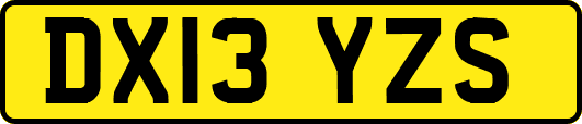 DX13YZS