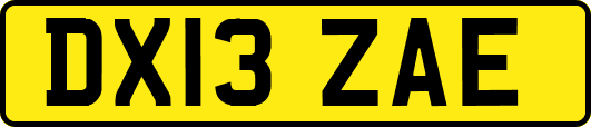 DX13ZAE