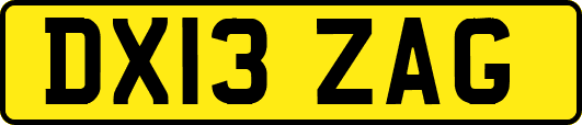 DX13ZAG