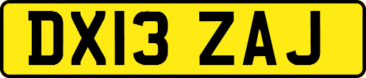 DX13ZAJ