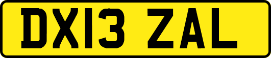 DX13ZAL