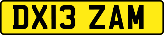 DX13ZAM