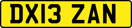 DX13ZAN