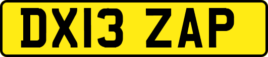 DX13ZAP