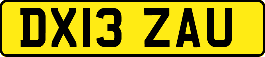 DX13ZAU
