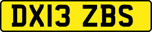 DX13ZBS