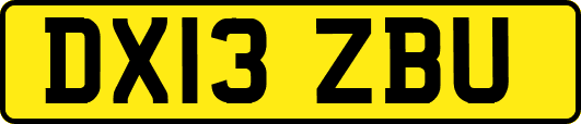 DX13ZBU