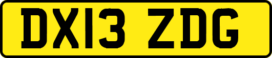 DX13ZDG