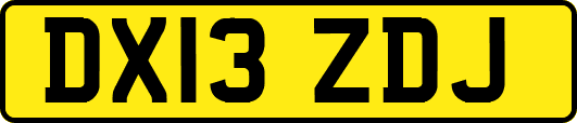 DX13ZDJ
