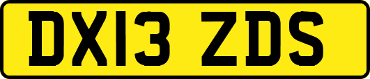 DX13ZDS