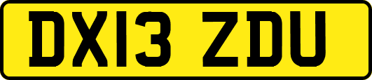 DX13ZDU
