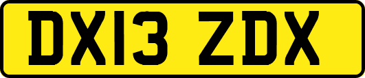 DX13ZDX