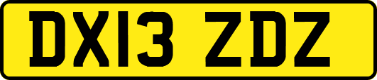 DX13ZDZ