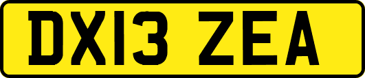 DX13ZEA