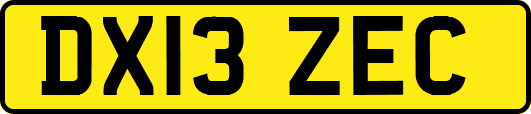 DX13ZEC