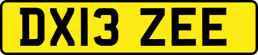 DX13ZEE
