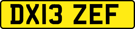 DX13ZEF