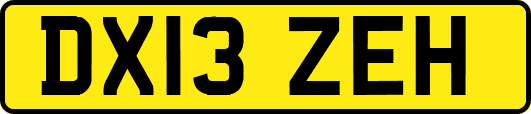 DX13ZEH