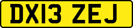 DX13ZEJ