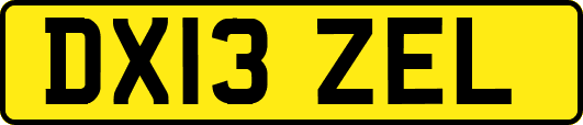 DX13ZEL