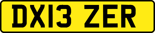 DX13ZER