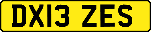 DX13ZES