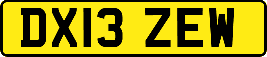 DX13ZEW