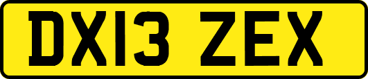 DX13ZEX