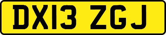 DX13ZGJ