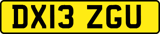 DX13ZGU