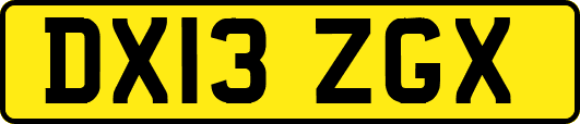 DX13ZGX
