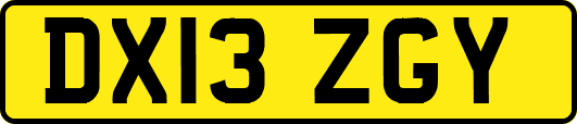 DX13ZGY