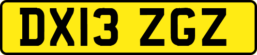 DX13ZGZ