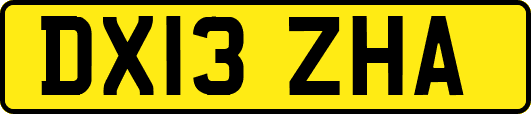 DX13ZHA