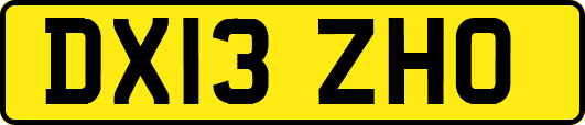 DX13ZHO