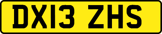 DX13ZHS