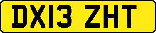 DX13ZHT