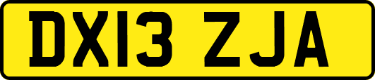 DX13ZJA