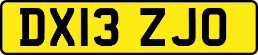 DX13ZJO
