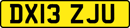 DX13ZJU