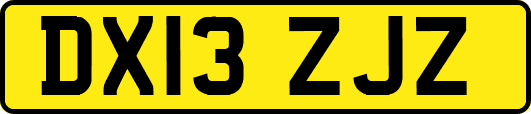 DX13ZJZ