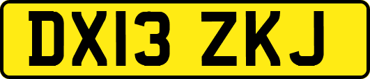 DX13ZKJ