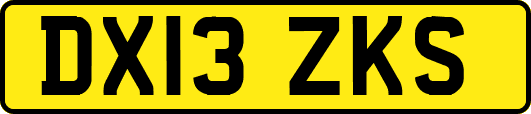 DX13ZKS