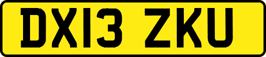 DX13ZKU
