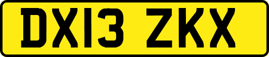 DX13ZKX