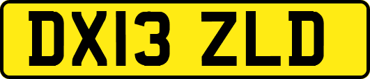 DX13ZLD