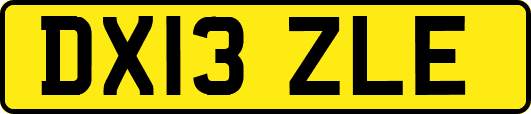 DX13ZLE