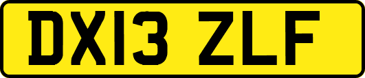 DX13ZLF