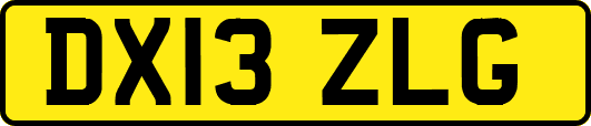 DX13ZLG