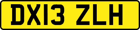 DX13ZLH
